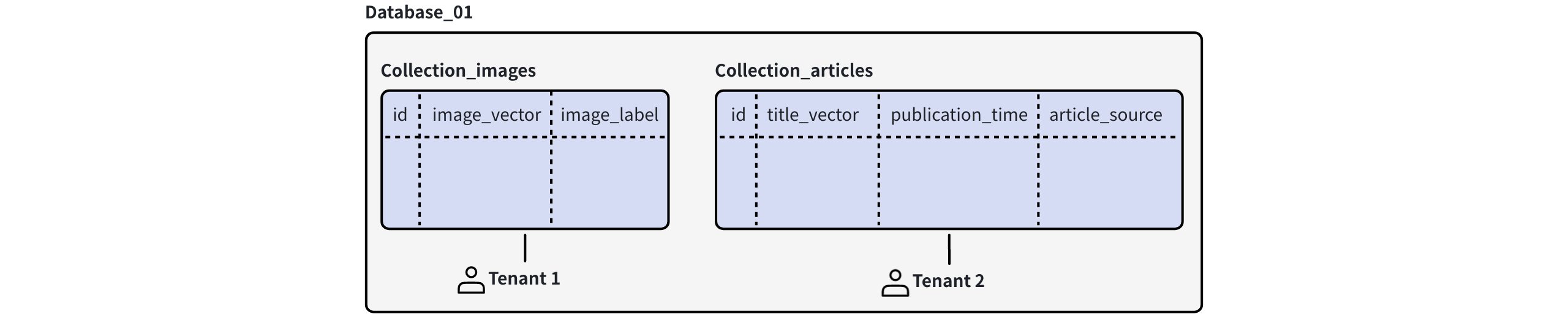 Collection Level Multi Tenancy
